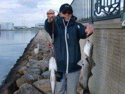 【水道もイイ感じ】南芦屋浜リアルタイム