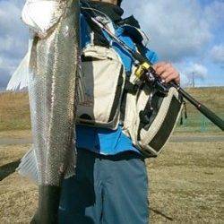 【紀ノ川河口】シーバス攻略！！