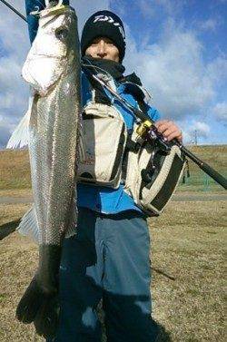 【紀ノ川河口】シーバス攻略！！