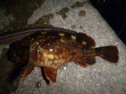 兵突RT!ナイトフィッシング!