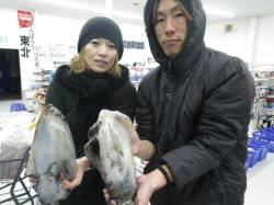 椿の地磯でエギング！ 粘って2人で10パイ…