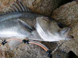 【水道もイイ感じ】南芦屋浜リアルタイム