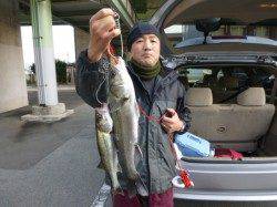 北公園ＲＴ、ハネ釣れました。