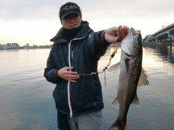 【大物か？？】南芦屋浜リアルタイム