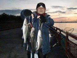 【爆釣・エビ撒き】南芦屋浜リアルタイム