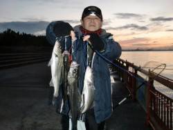 【爆釣・エビ撒き】南芦屋浜リアルタイム