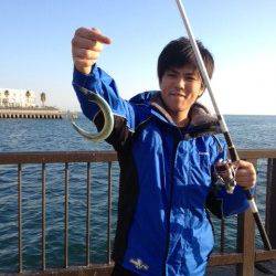 サヨリ警報継続中！！アジュール舞子