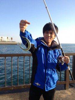 サヨリ警報継続中！！アジュール舞子