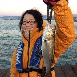 大阪南港 ワインドでタチウオ＆シーバス！