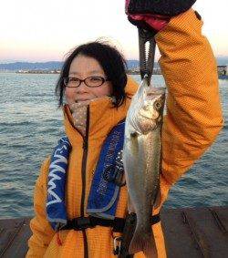 大阪南港 ワインドでタチウオ＆シーバス！