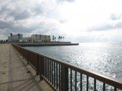 アジュール舞子でサヨリ釣れてるぞ！！