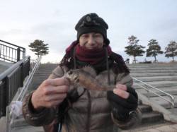  空港、北公園ＲＴ　メバルが釣れました