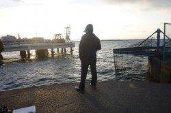 泉佐野食コン 夕方エビ撒きハネ釣り♪