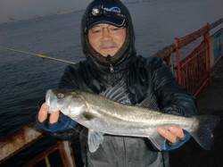 【目の前でハネ】南芦屋浜リアルタイム