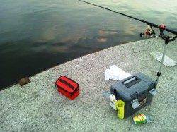 夕方☪食コンへエビ撒き釣りに