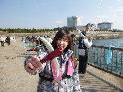 アジュール舞子サヨリ釣れてます!