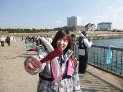 アジュール舞子サヨリ釣れてます！