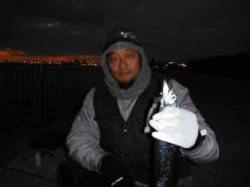 【今日も釣れてる？タチウオ】南芦屋浜 