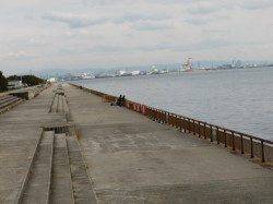 【年無しチヌも出ました】南芦屋浜リアルタイム