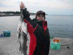 忠岡水銀灯スズキサイズ混じりでエビ撒きハネ絶好調！！