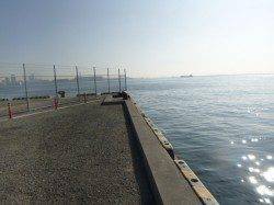 朝の兵突RT!タコ！