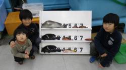 すさみ コロダイ&グレ釣果