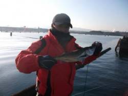 朝バネ好調♪泉大津リアルタイム　１６日　朝…