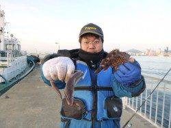 北公園西波止でガシラ&アナゴ