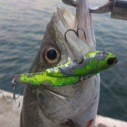 本荘ケーソンにてデイゲーム堪能！！