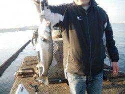 忠岡貯木場中波止はでエビ撒きハネ連続ヒットです!!