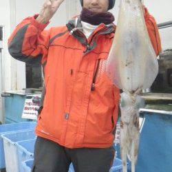 でました！アオリ2㌔UP　周参見漁港ヤエンでGET！