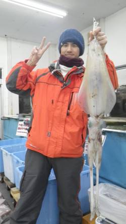 でました！アオリ2㌔UP　周参見漁港ヤエン…