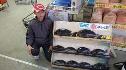 磯間、神楽島 フカセでグレ数釣り☆