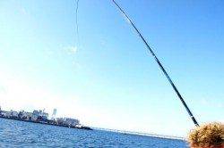 泉佐野食コン　エビ撒きでハネ☆