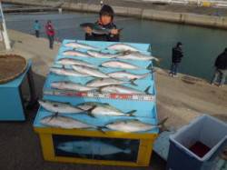 マリーナシティ海洋釣り堀 ハマチ18尾で満…