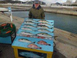 マリーナシティ海洋釣り堀 青物中心に楽しめてます☆