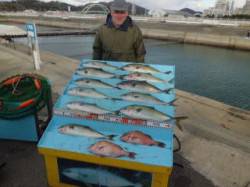 マリーナシティ海洋釣り堀 青物中心に楽しめ…