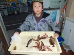 マリーナ釣り公園でガシラ＆メバル☆ダブルゲ…