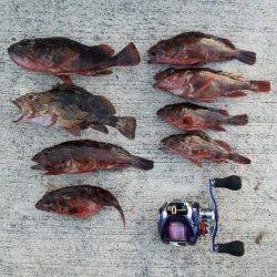 佐野周辺でガシラ穴釣り