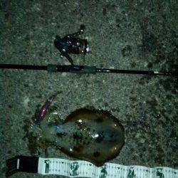 スラックジャークでヒット！ 串本港でエギング