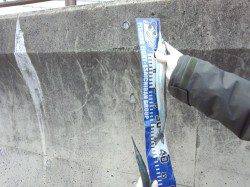 アジュール舞子 ウキ釣りでサヨリ快釣！