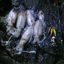 くろしお牧場周辺でナイトエギング、計6杯！