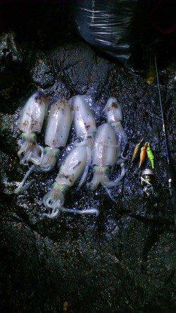 くろしお牧場周辺でナイトエギング、計6杯！