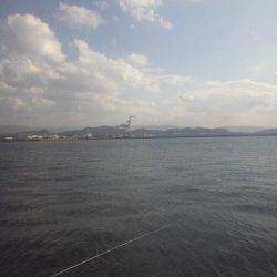 紀ノ川河口 ダンゴ釣りでチヌ40cm頭に2枚