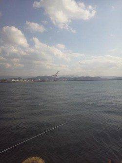 紀ノ川河口 ダンゴ釣りでチヌ40cm頭に2枚