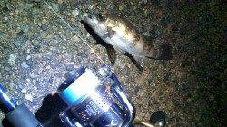 香住東港にて今シーズン初メバリング