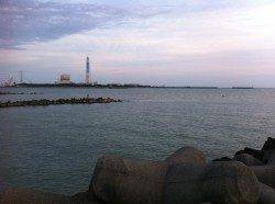 日高川河口でウキ釣り、ソゲの嵐でした・・・