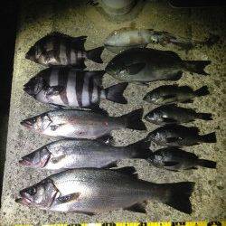 潮吹岩でのウキ釣り☆ヒラスズキ・イシダイ等で納得の釣果