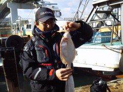 岸和田一文字 投げカレイ数出てます☆