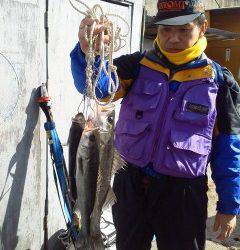 中波止・旧の一文字でのエビ撒き釣りの釣果。